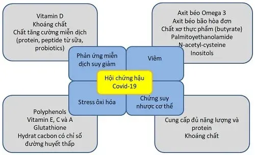 Chế Độ Dinh Dưỡng Khuyến Cáo Cho Hội Chứng Hậu Covid-19