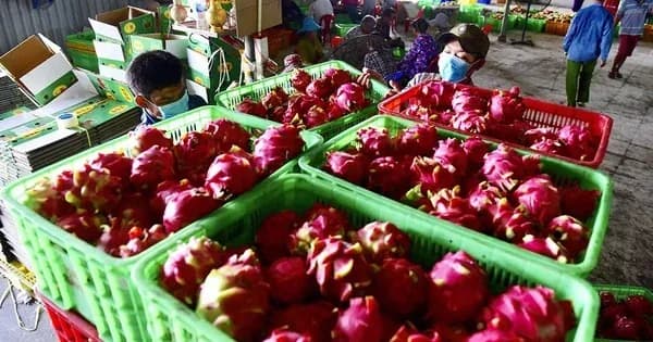 Hội Thảo Số Về Tiêu Chuẩn Sản Xuất Eu Đối Với Sản Phẩm Nông Nghiệp