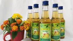 Giấm Táo Mèo Lên Men