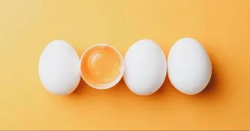 Trứng Thuần Chay Sẽ Được Tạo Ra Như Thế Nào Trong Tương Lai