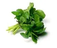 Viện Công Nghiệp Thực Phẩm Công Bố Sản Phẩm - Bột Rau Hỗn Hợp Iz-veg