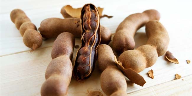 Nghiên cứu công nghệ sản xuất bột giàu xyloglucan từ hạt me (Tamarindus Indica L.) và ứng dụng làm phụ gia trong sản xuất thực phẩm