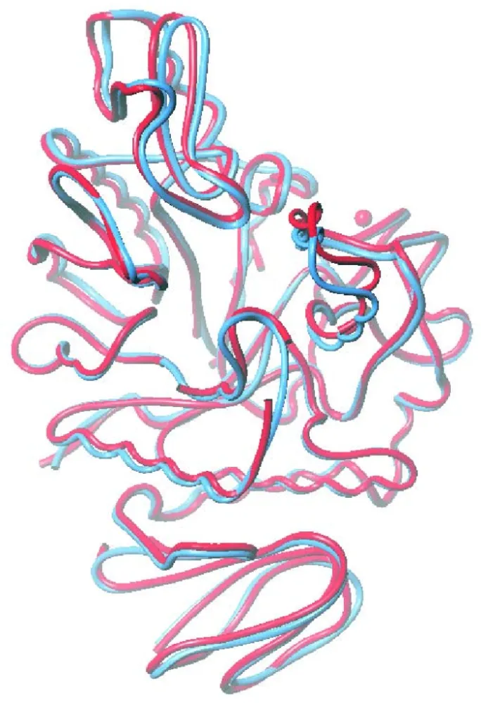 Nghiên Cứu Công Nghệ Sản Xuất Enzyme Sucrose Isomerase Tái Tổ Hợp Và Ứng Dụng Trong Công Nghiệp Chế Biến Isomaltulose Từ Đường Mía