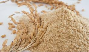 Nghiên Cứu Công Nghệ Sản Xuất Protein Hydrolysate Và Chất Xơ Không Hòa Tan Từ Bã Cám Gạo